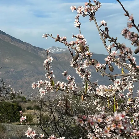 Cortijo Vacas Gordas * Castell de Ferro